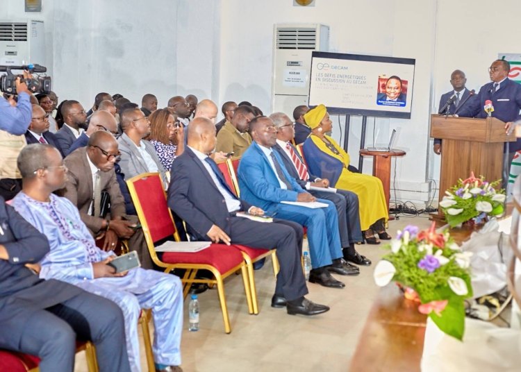 Cameroon Eyes Power Sector Turnaround With New Reform Plan