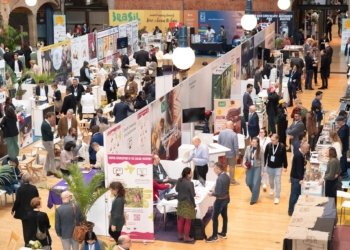 Cameroon Cocoa Wins Gold at Global Quality Awards