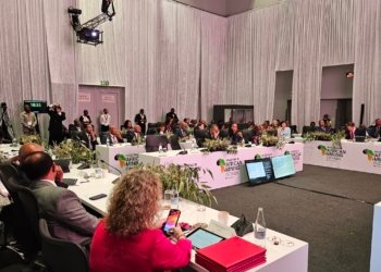 African Leaders Push Unified Strategy on Natural Diamonds