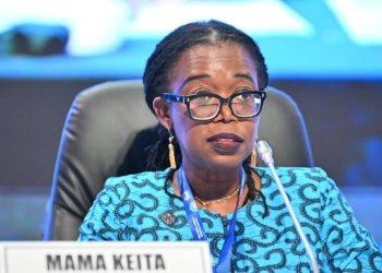 African Leaders Urged to Accelerate Use of Technology for Growth