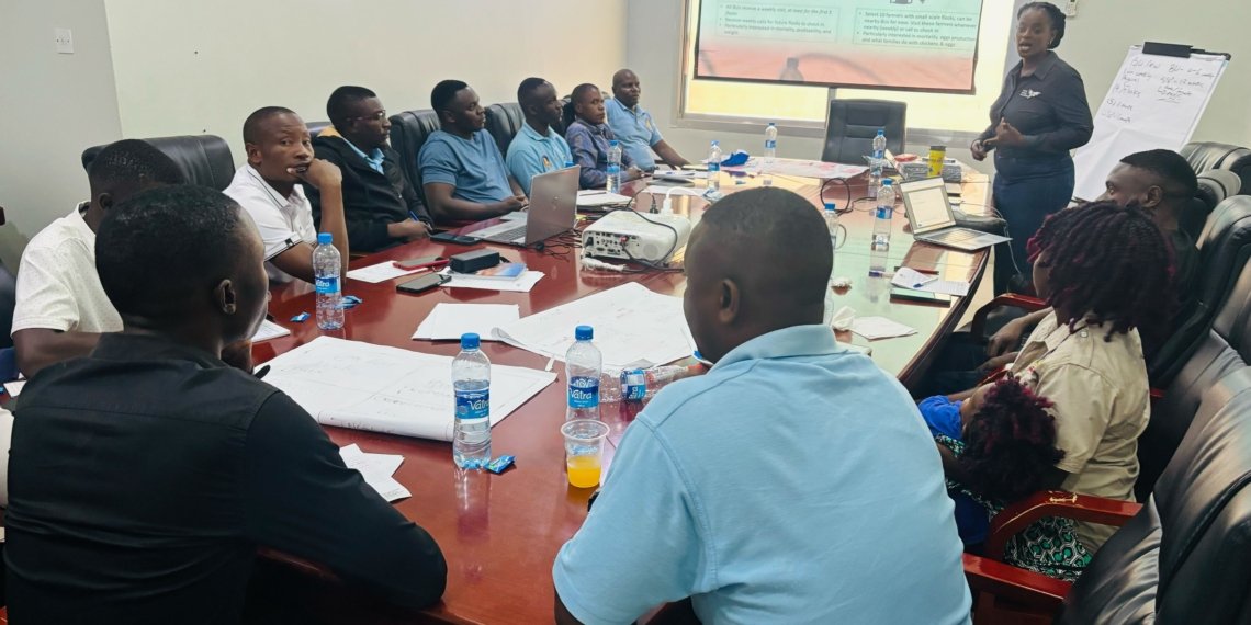 Training Expands Poultry Support Network in Zambia