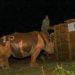 Uganda Returns Rhinos to Kidepo Valley After Four Decades