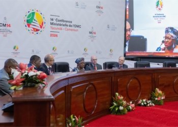 Africa, Latin America Seek Stronger Trade Ties at WTO Meeting