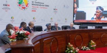 Africa, Latin America Seek Stronger Trade Ties at WTO Meeting