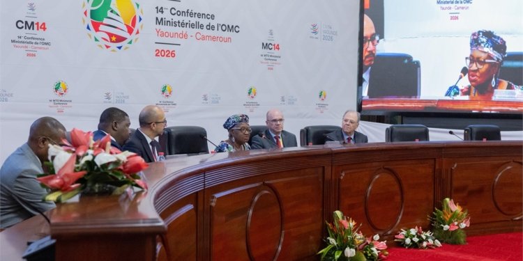 Africa, Latin America Seek Stronger Trade Ties at WTO Meeting