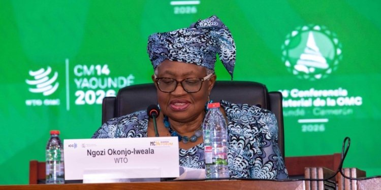 At WTO Talks in Yaoundé, African Nations Push to Expand Cotton Value Chain