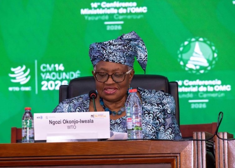 At WTO Talks in Yaoundé, African Nations Push to Expand Cotton Value Chain