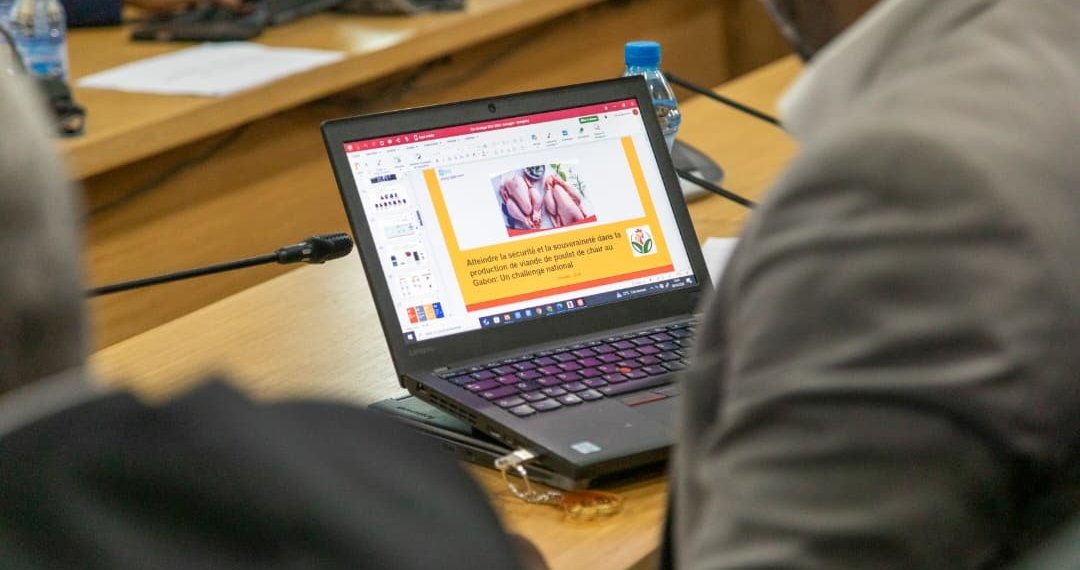 Gabon Bans Broiler Chicken Imports to Boost Local Output