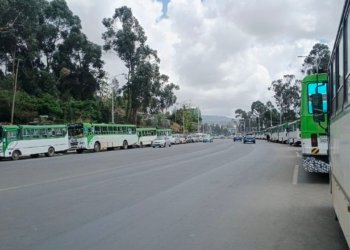 ‘Two Days Without a Penny’: Ethiopia’s Fuel Crisis Through the Eyes of Drivers