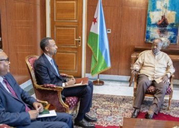 Ethiopia, Djibouti Plan Pipeline Corridor to Boost Horn of Africa Energy Trade
