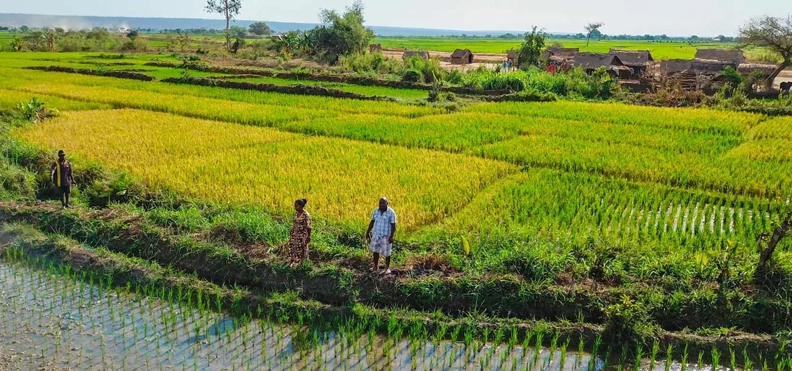 Madagascar Secures $68 Million for Economic and Governance Reforms