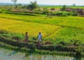 Madagascar Secures $68 Million for Economic and Governance Reforms