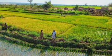 Madagascar Secures $68 Million for Economic and Governance Reforms