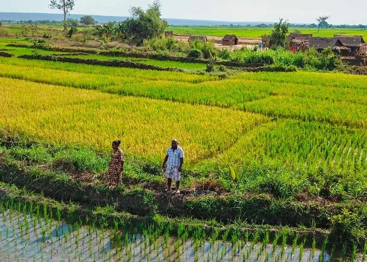 Madagascar Secures $68 Million for Economic and Governance Reforms