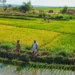 Madagascar Secures $68 Million for Economic and Governance Reforms