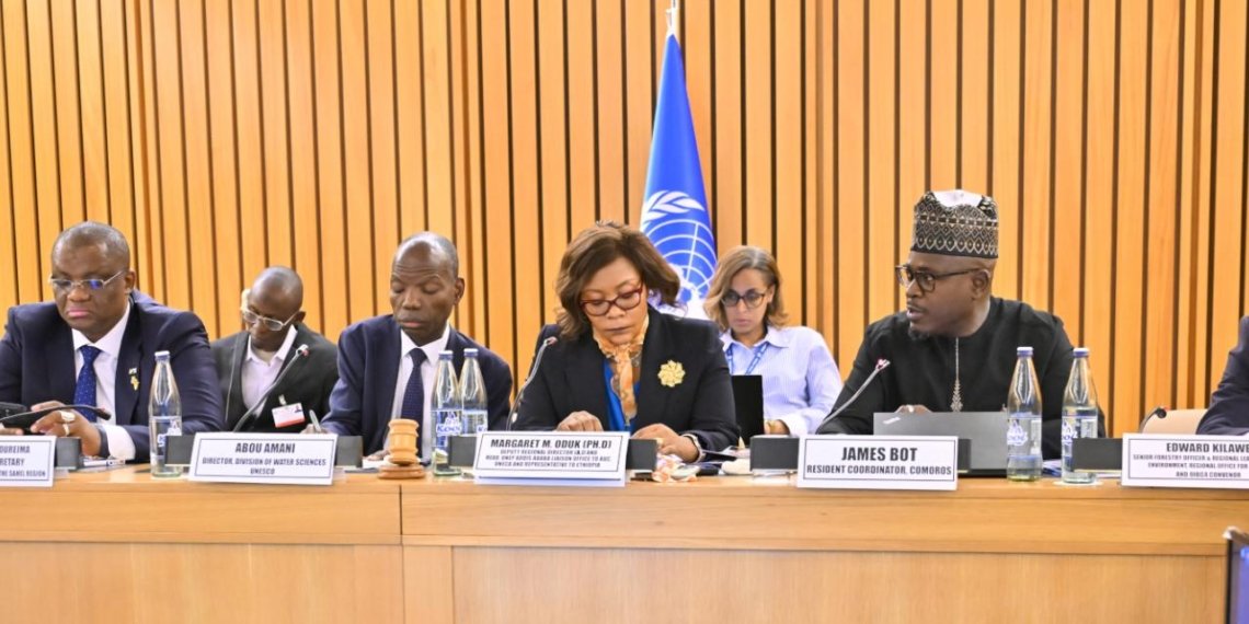 UN Resident Coordinators Rally Around Africa’s Own Financing Agenda