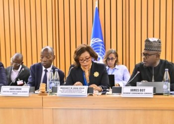 UN Resident Coordinators Rally Around Africa’s Own Financing Agenda