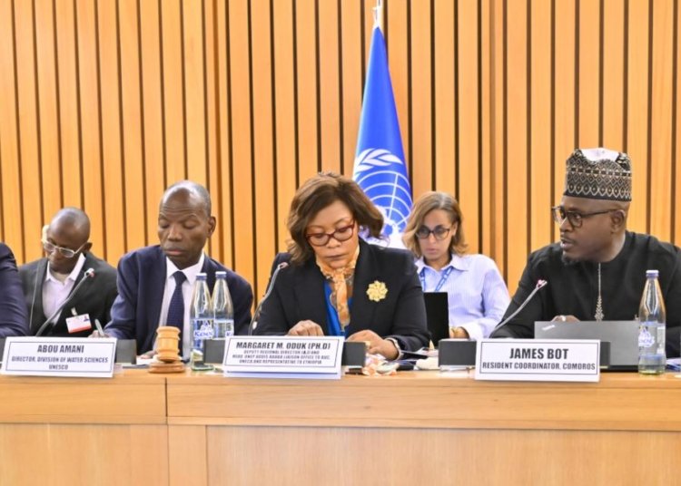 UN Resident Coordinators Rally Around Africa’s Own Financing Agenda