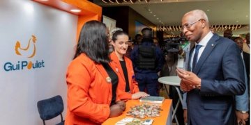 Guinea Unveils Poultry Development Strategy Aimed at Creating 560,000 Jobs
