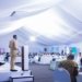 Research Finds Consumer Demand, Not Herd Size, Drives African Dairy Development