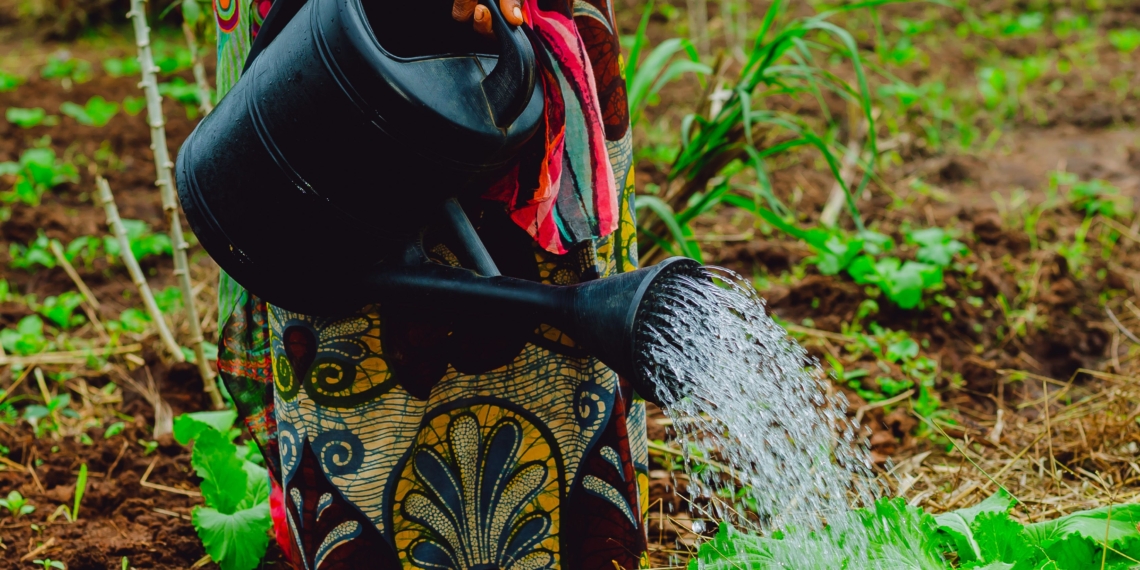 Intra-African Trade Holds the Key to Fertilizer Access Across the Continent