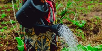 Intra-African Trade Holds the Key to Fertilizer Access Across the Continent