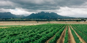 Africa’s Fertilizer Dependence is an Industrial Problem with Industrial Solutions