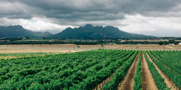 Africa’s Fertilizer Dependence is an Industrial Problem with Industrial Solutions