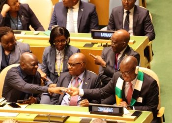 Zimbabwe Secures Non-Permanent Seat on U.N. Security Council