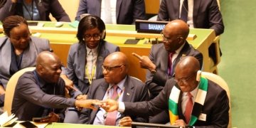 Zimbabwe Secures Non-Permanent Seat on U.N. Security Council