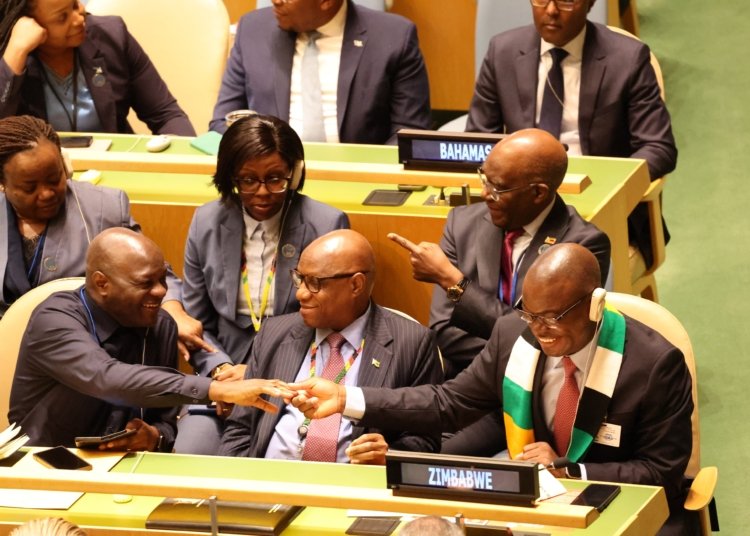 Zimbabwe Secures Non-Permanent Seat on U.N. Security Council