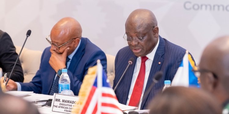 Capacity Development Key to Implementing the Common African Position on Debt