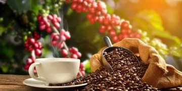 Ethiopia Tops $3 Billion in Annual Coffee Export Revenue for the First Time