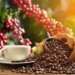 Ethiopia Tops $3 Billion in Annual Coffee Export Revenue for the First Time
