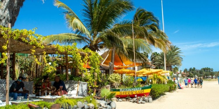 Chinese Travel Interest in Cape Verde Surges After World Cup Breakthrough