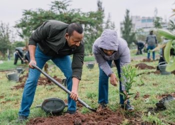 Ethiopia Intensifies Reforestation Drive with Launch of 8th Green Legacy Campaign