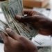 Africa Wants to Turn Diaspora Money into Investment