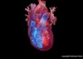 African-Led Heart Study Reaches Major Scientific Milestone