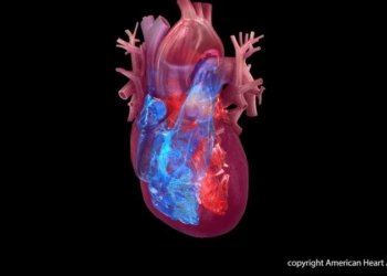 African-Led Heart Study Reaches Major Scientific Milestone