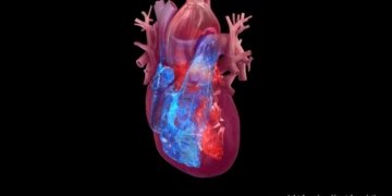 African-Led Heart Study Reaches Major Scientific Milestone