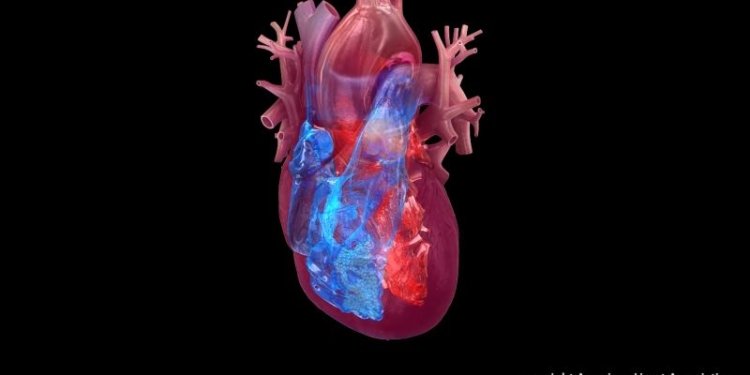 African-Led Heart Study Reaches Major Scientific Milestone