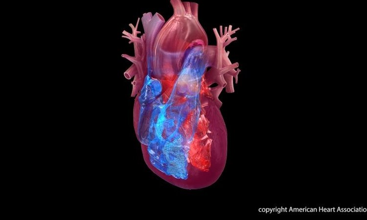 African-Led Heart Study Reaches Major Scientific Milestone