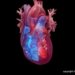 African-Led Heart Study Reaches Major Scientific Milestone