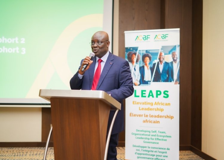 Beyond Technical Expertise, Africa’s Public-Sector Reformers Put Leadership to the Test