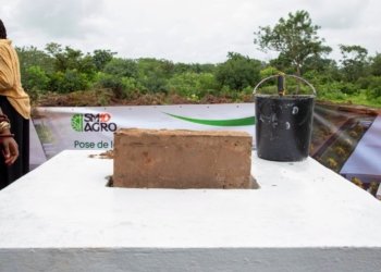 Senegalese Football Star Sadio Mané Launches $20 Million Agro-Processing Project in Bambali