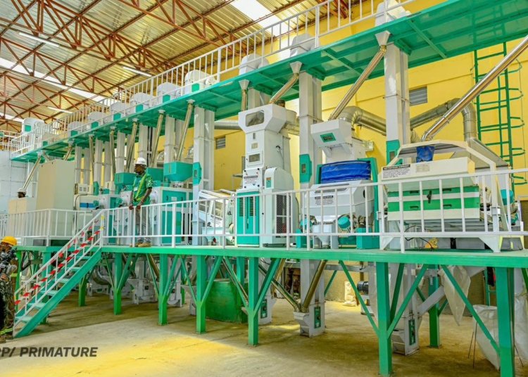 Burkina Faso Links Mechanized Harvests to a New Push for Local Food Processing
