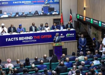 Dangote IPO Gives Botswana a Bigger Role in Southern African Markets