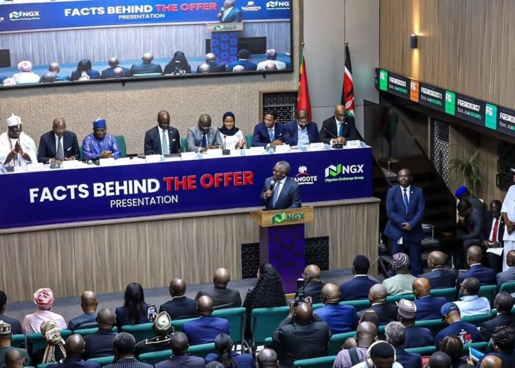 Dangote IPO Gives Botswana a Bigger Role in Southern African Markets