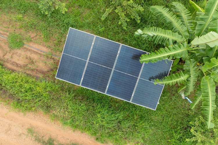 Evidence, Citizens Key to Africa’s Green Energy Transition